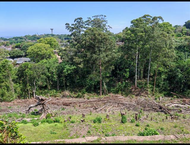 8,992M² VACANT LAND SOLD IN WESTVILLE
